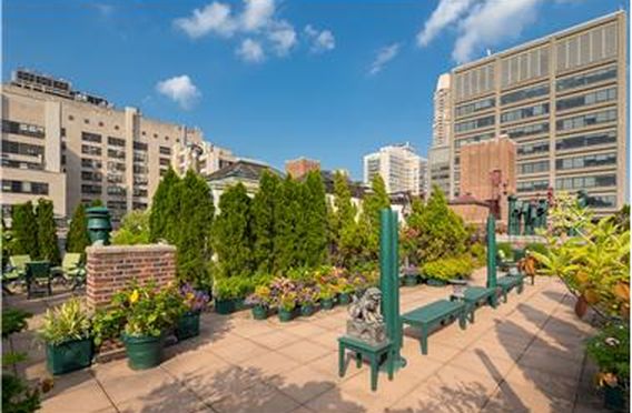 3 Bedroom 2.5 Bath Condo 160,890 Sq Ft in New York